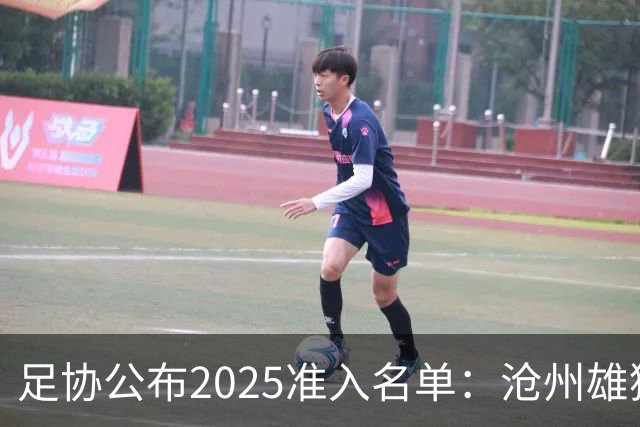 足协公布2025准入名单：沧州雄狮、广州队无缘