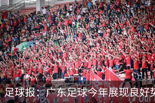 足球报：广东足球今年展现良好势头，广州豹、深圳青年人全力冲超